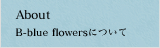 About B-blue flowersについて